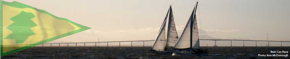 San Mateo Bridge with sailboats